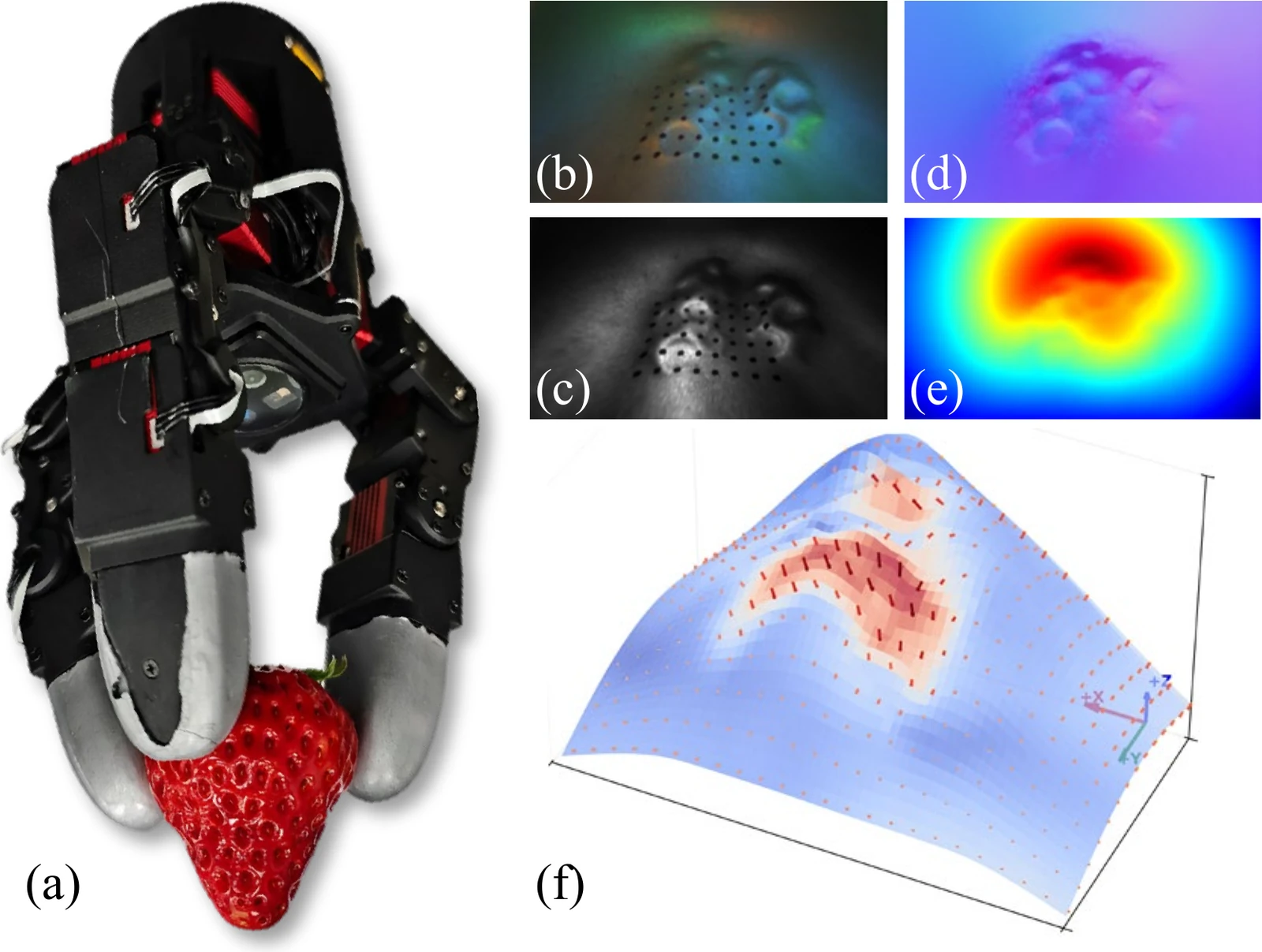 FasTac sensors, RGB-NIR tactile observations, depth reconstruction, and three-axis force visualization